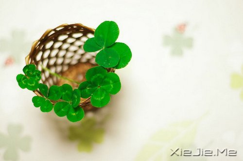 成熟，不是看破，而是看淡 (1)