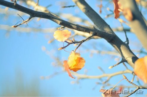 成熟，不是看破，而是看淡 (5)