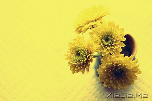 成熟，不是看破，而是看淡 (7)