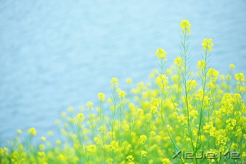 成熟，不是看破，而是看淡 (9)