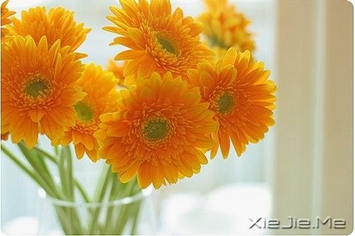 一路感恩，且行且珍惜 (1)
