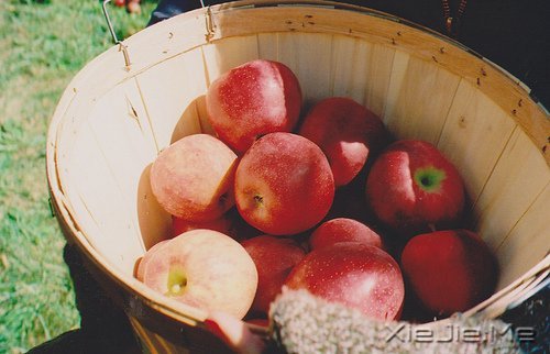 早安心语：生活的美好缘于拥有一颗平常心 (5)