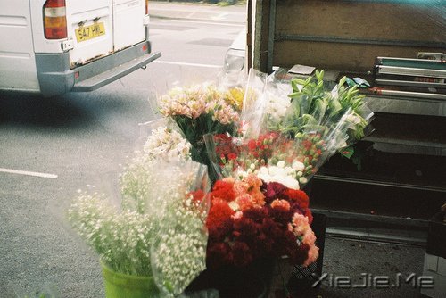 早安心语：生活的美好缘于拥有一颗平常心 (8)