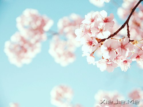 晚安心语：微笑着去等待，做最好的自己 (5)