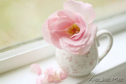 晚安心语：青春带着疼痛，却又义无反顾 (1)