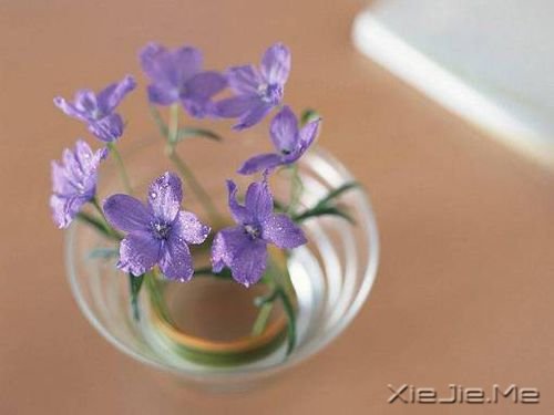 晚安心语：别让别人左右了你的青春 (1)