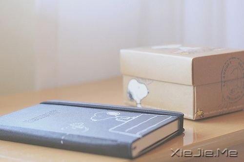 晚安心语：别让别人左右了你的青春 (4)