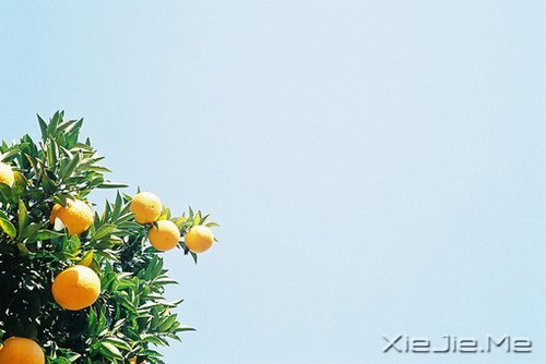自己喜欢的日子，就是最美的日子 (3)